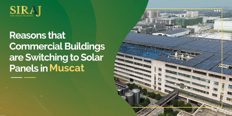 Reasons that Commercial Buildings are Switching to Solar Panels in Muscat
